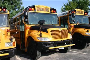 School buses 